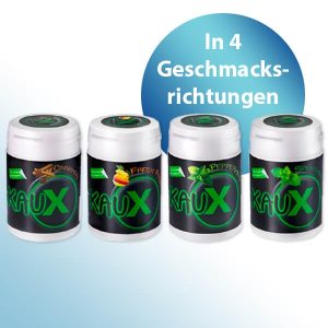 KauX Zahnpflegekaugummi mit Xylitol Geschmack : Cinnamon  3 Stück